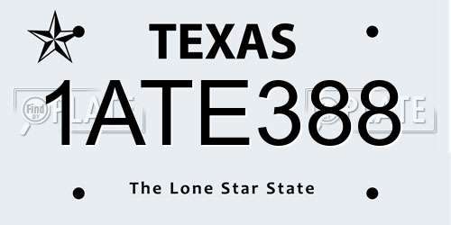 1ATE388 Texas License Plate