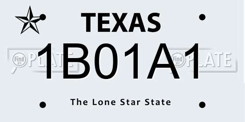 1B01A1 Texas License Plate