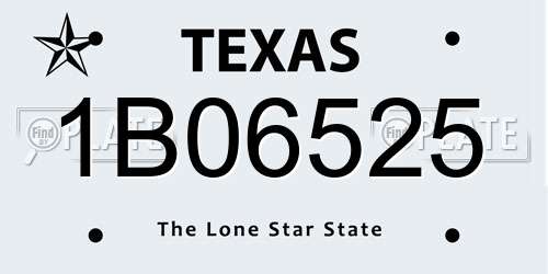 1B06525 Texas License Plate