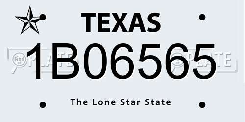 1B06565 Texas License Plate