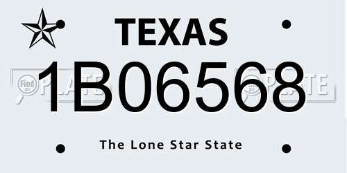 1B06568 Texas License Plate