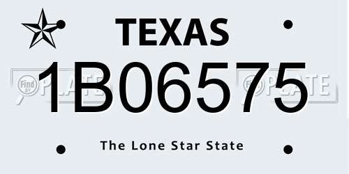 1B06575 Texas License Plate