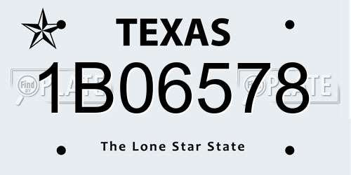 1B06578 Texas License Plate