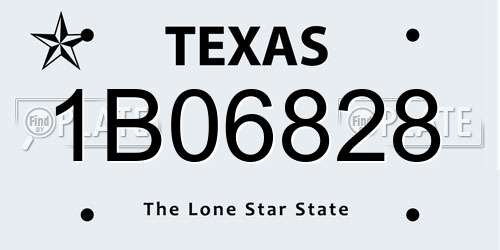 1B06828 Texas License Plate