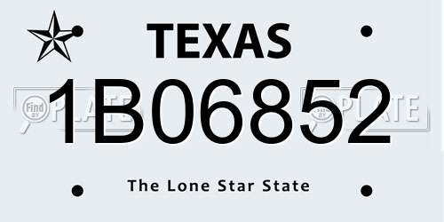 1B06852 Texas License Plate