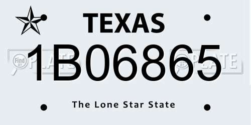 1B06865 Texas License Plate