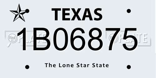 1B06875 Texas License Plate