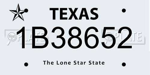 1B38652 Texas License Plate