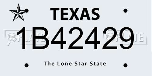 1B42429 Texas License Plate