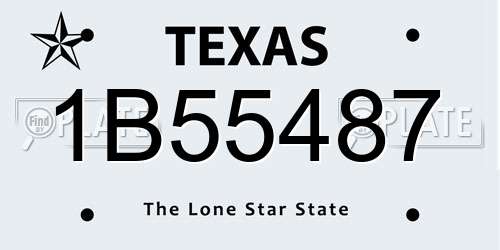 1B55487 Texas License Plate