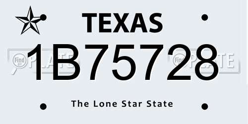 1B75728 Texas License Plate