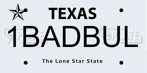 1BADBUL Texas License Plate