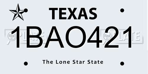 1BAO421 Texas License Plate