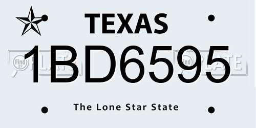1BD6595 Texas License Plate