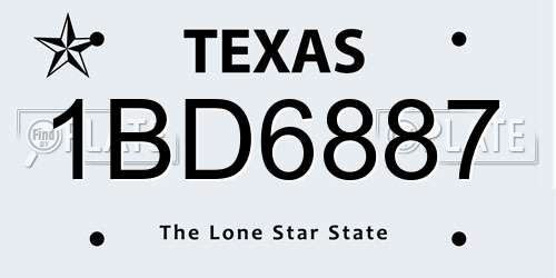 1BD6887 Texas License Plate