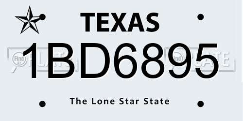1BD6895 Texas License Plate