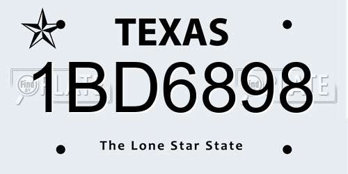 1BD6898 Texas License Plate
