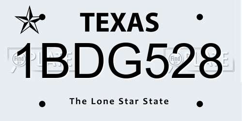 1BDG528 Texas License Plate