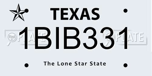1BIB331 Texas License Plate