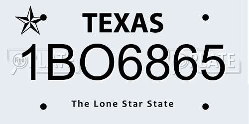 1BO6865 Texas License Plate