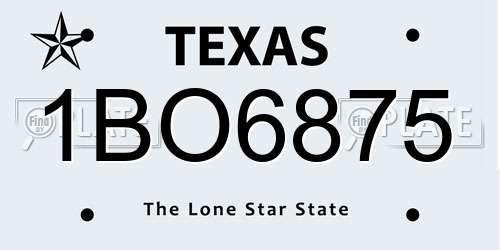 1BO6875 Texas License Plate