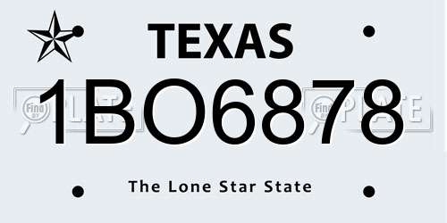 1BO6878 Texas License Plate
