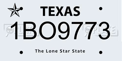 1BO9773 Texas License Plate