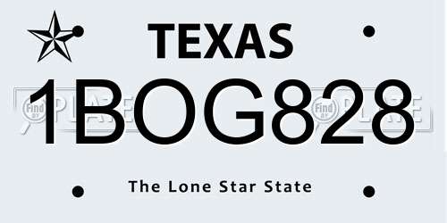 1BOG828 Texas License Plate