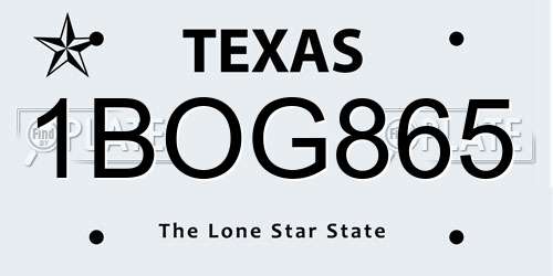 1BOG865 Texas License Plate
