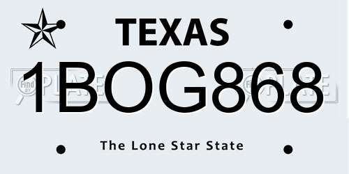 1BOG868 Texas License Plate