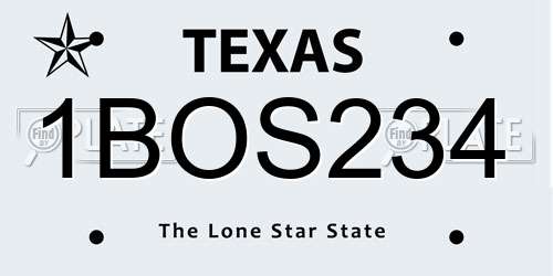 1BOS234 Texas License Plate