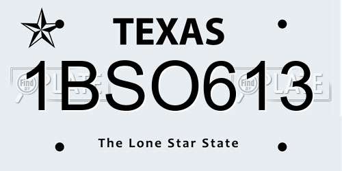 1BSO613 Texas License Plate