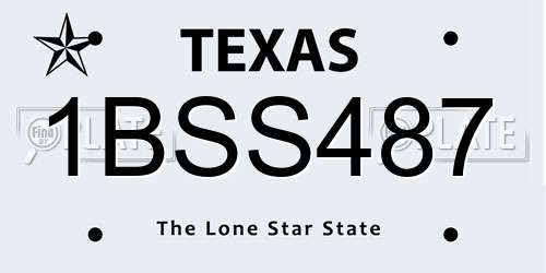 1BSS487 Texas License Plate