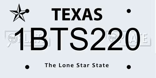 1BTS220 Texas License Plate