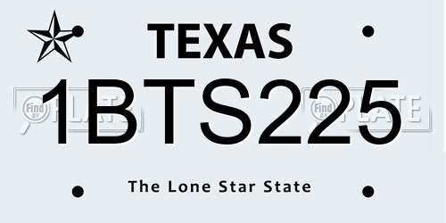 1BTS225 Texas License Plate