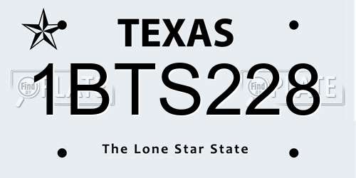 1BTS228 Texas License Plate