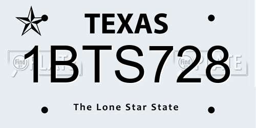 1BTS728 Texas License Plate