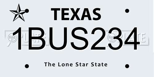 1BUS234 Texas License Plate