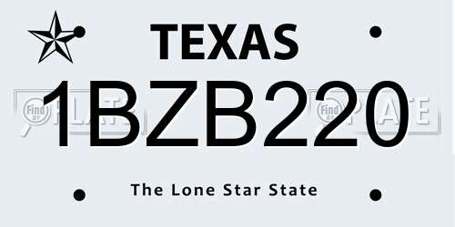 1BZB220 Texas License Plate