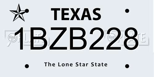 1BZB228 Texas License Plate