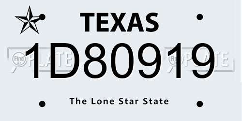 1D80919 Texas License Plate