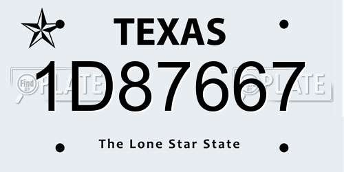 1D87667 Texas License Plate
