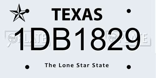 1DB1829 Texas License Plate