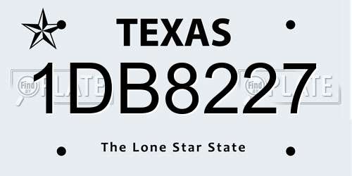 1DB8227 Texas License Plate