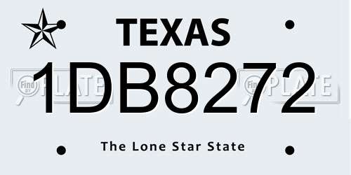 1DB8272 Texas License Plate