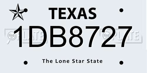 1DB8727 Texas License Plate