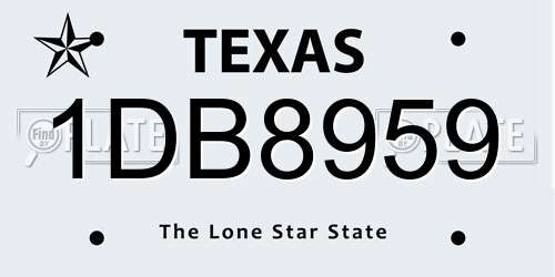 1DB8959 Texas License Plate