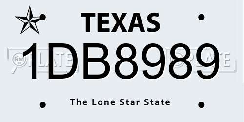 1DB8989 Texas License Plate