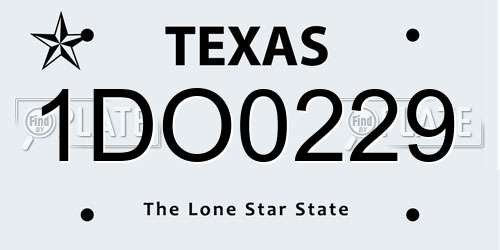 1DO0229 Texas License Plate