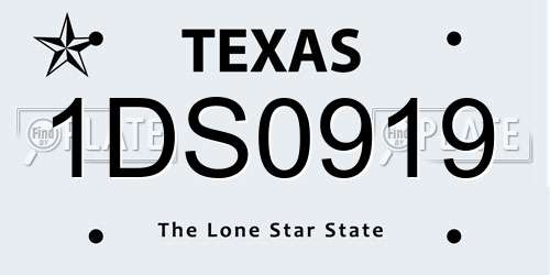 1DS0919 Texas License Plate